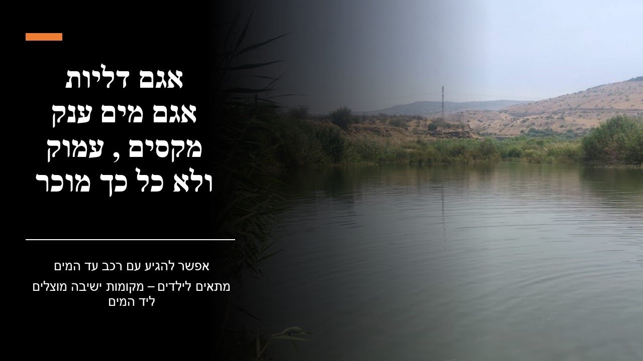 אגם דליות - שפך נחל דליות. אגם מגניב שקט ומקסים ליד הכנרת. אפשר להגיע עם הרכב עד המים. מתאים לילדים