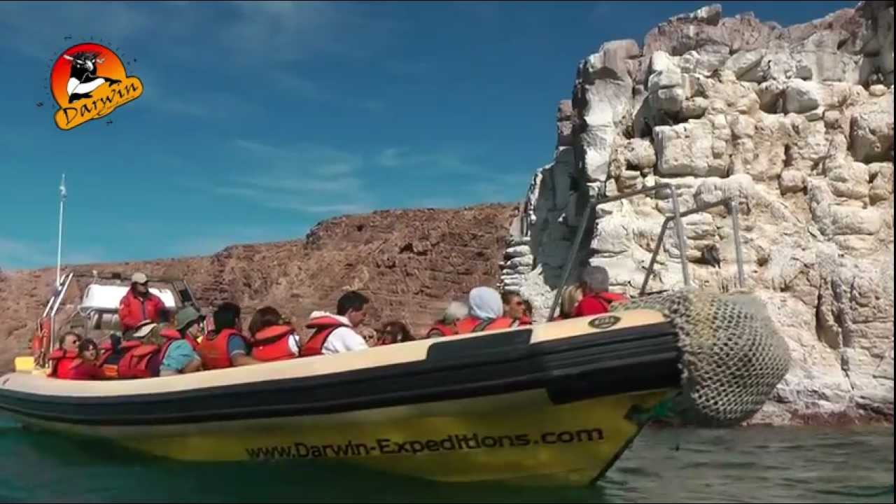 Ría Deseado - Patagonia by Darwin Expeditions