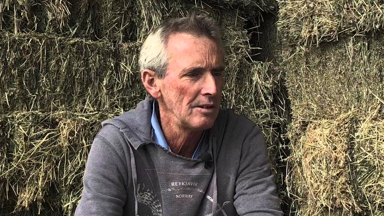 In My Stable - Steve Turnbull Part 2