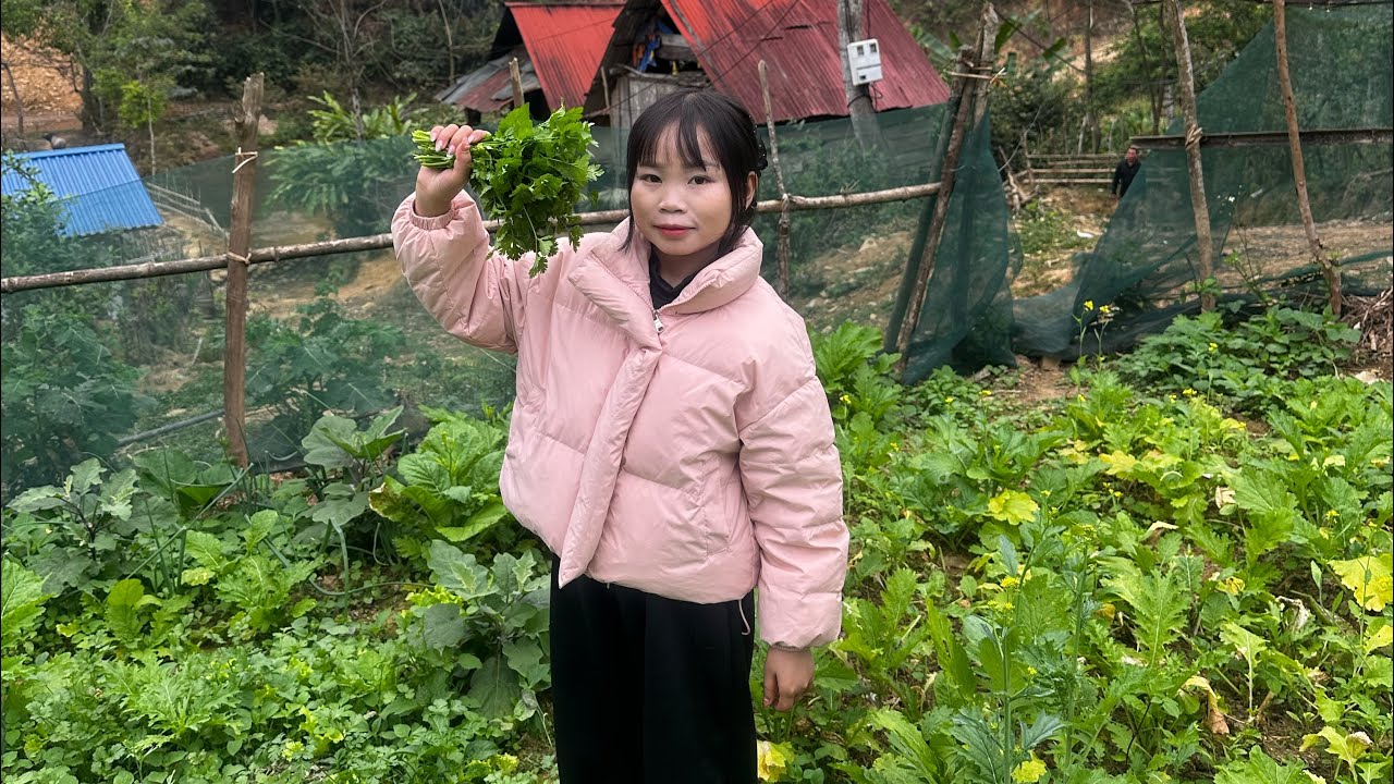 Một ngày ở trong rẫy không có mạng, sóng của Bé Hạt Tiêu sẽ như thế nào
