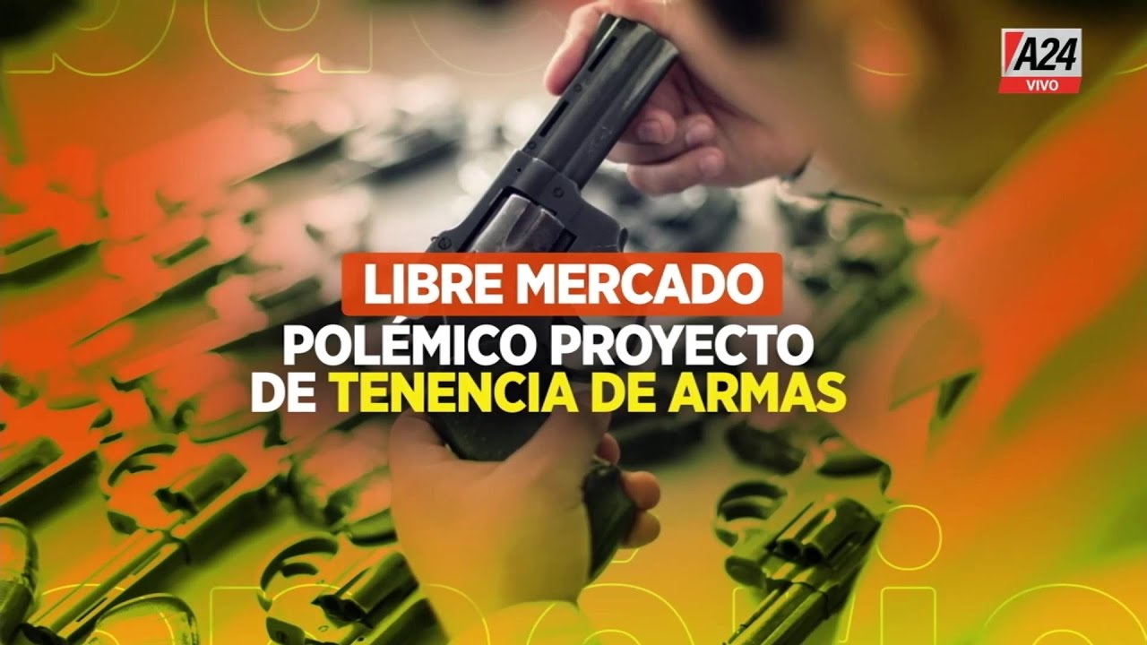 🔴 Proyecto para regularizar la tenencia de armas: 