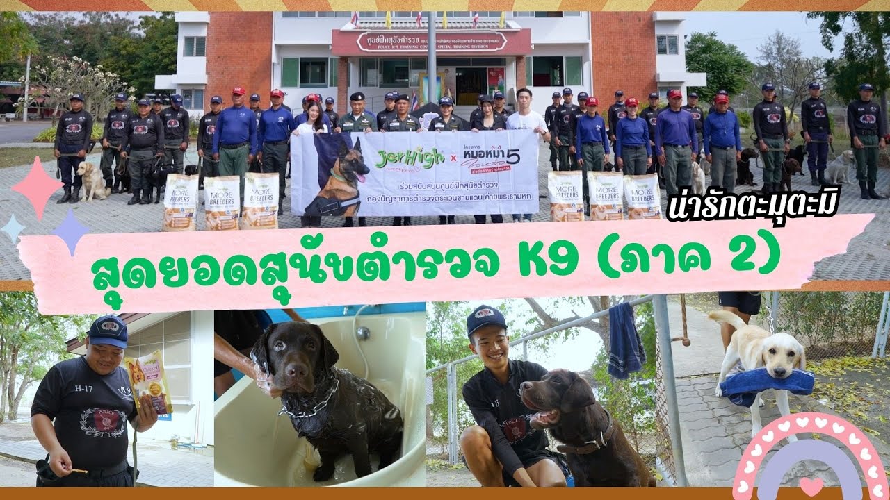 กว่าจะมาเป็นสุดยอดสุนัขตำรวจ K9 (ภาคต่อ) l Pet Lover by Jerhigh EP.8