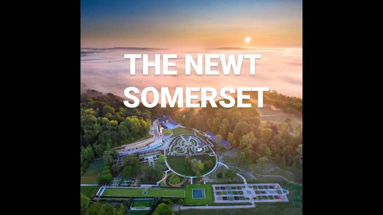 THE NEWT SOMERSET
