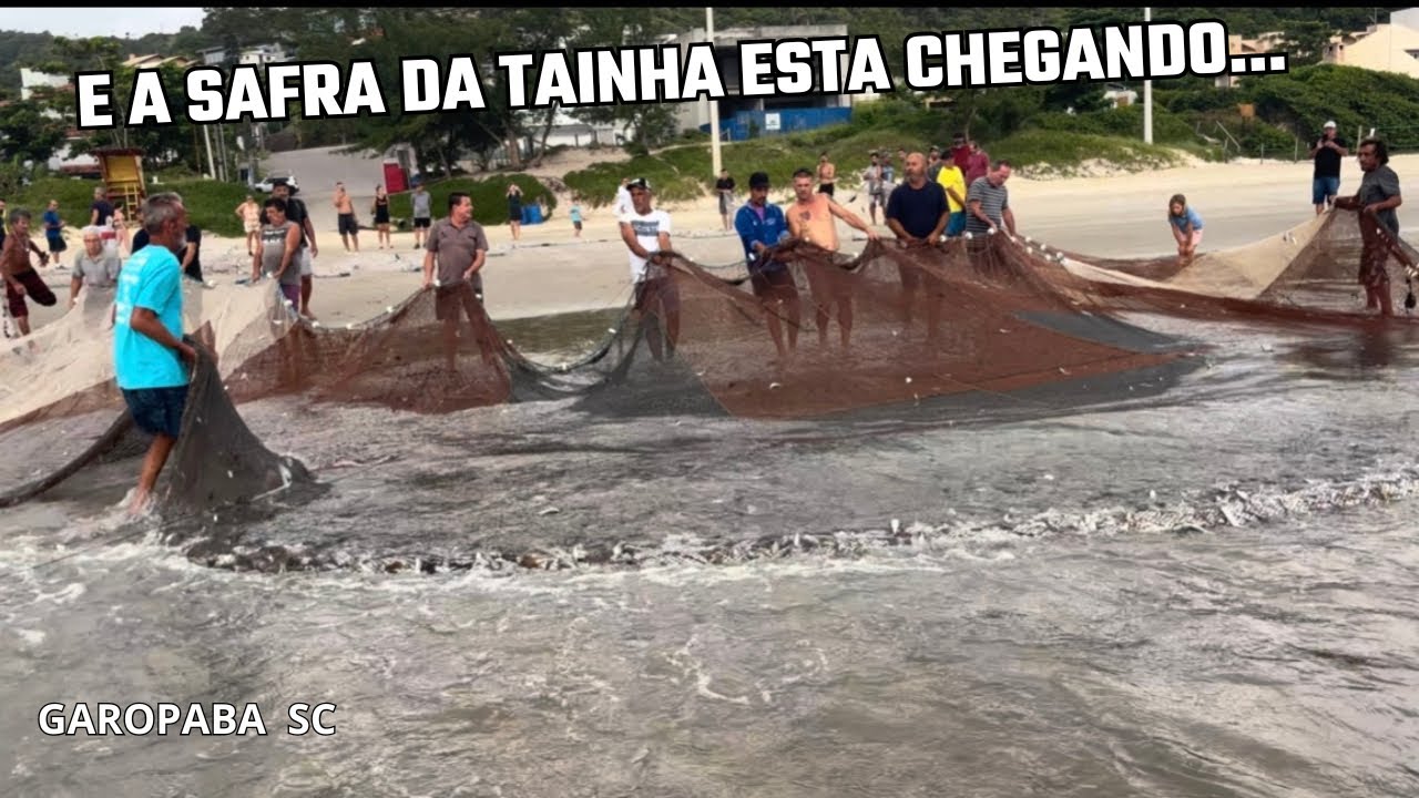 07/03/26 sábado com arrasto na praia central e só na contagem regressiva para safra da tainha 2026😁