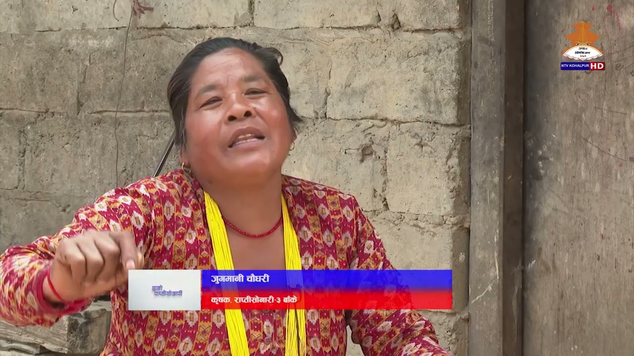 HAMRO RAPTISONARI 20821203