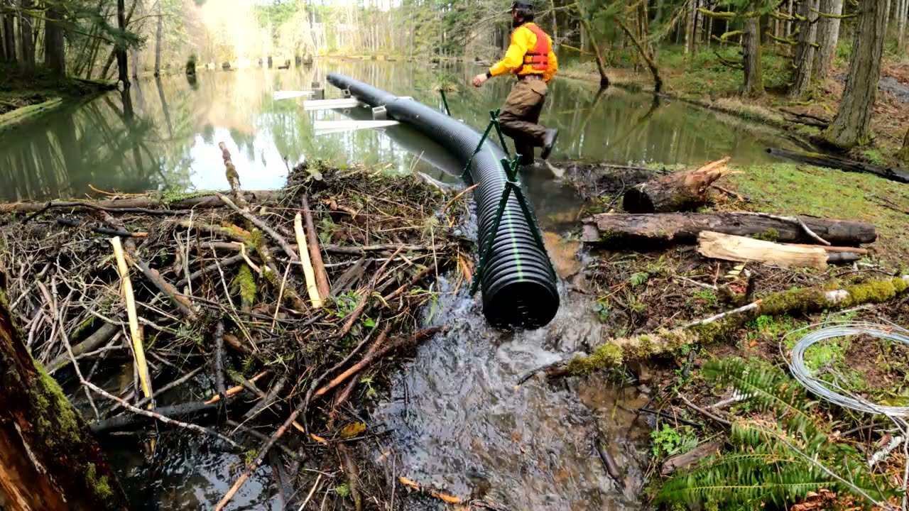Pond Leveler Intro and Build 3 16 2022
