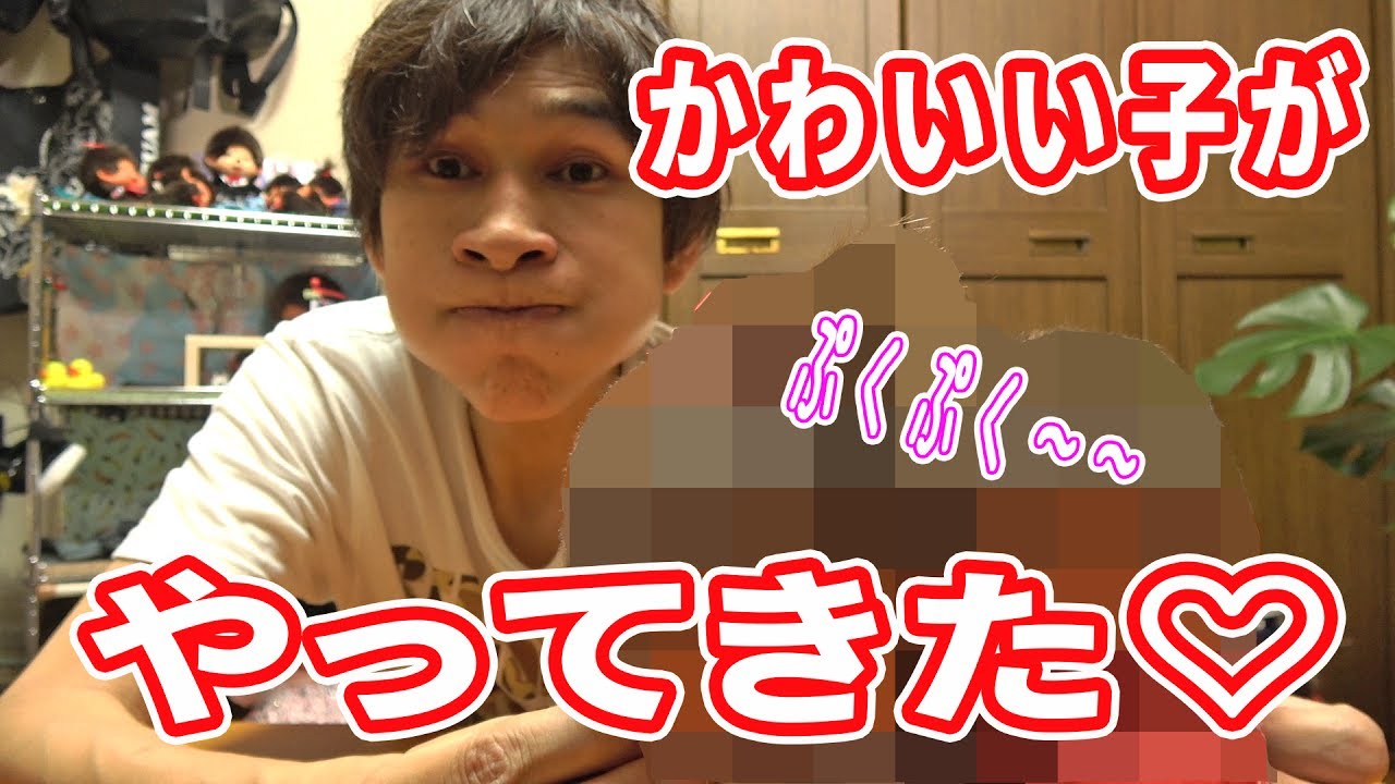 モンチッチの新しい家族！！【モンチッチシリーズ#41】