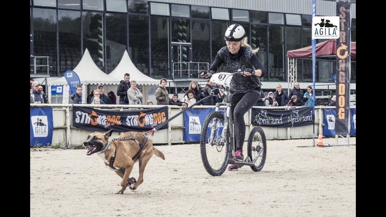 StrongDog Gelsenkirchen 2017 powered by AGILA