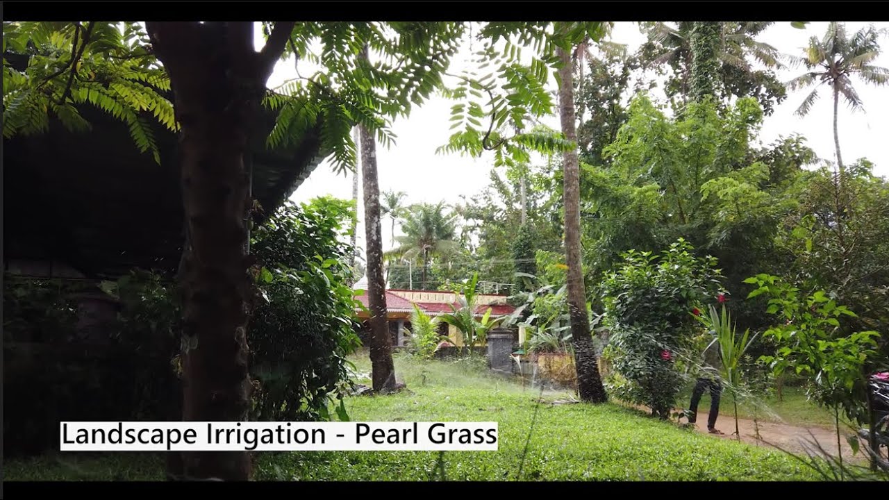 Landscape Irrigation - Pearl Grass