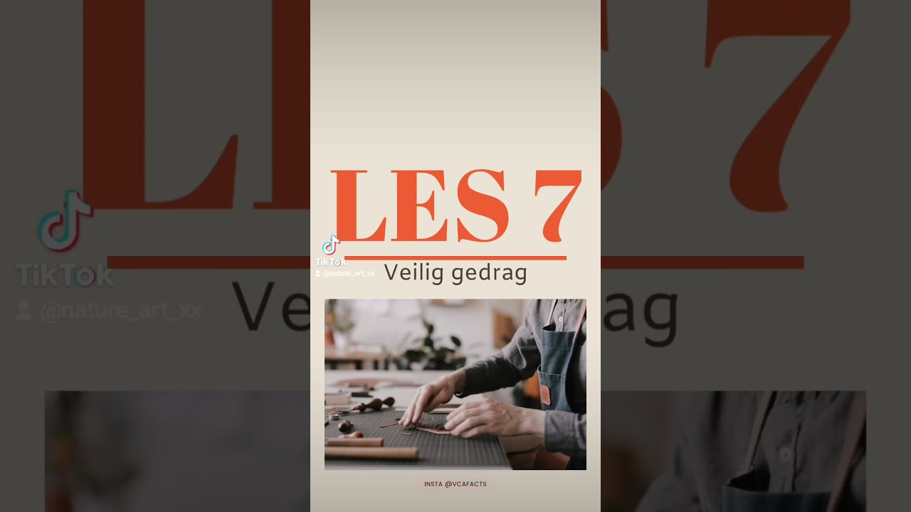Les 7 VCA Basis - Veilig gedrag
