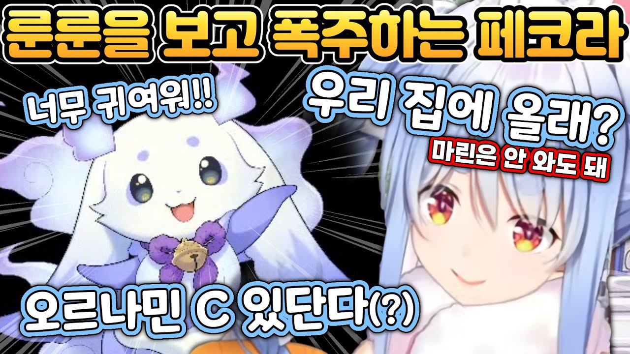 폭주해서 룬룬을 집에서 키우려는 페코라 [홀로라이브/니지산지/우사다 페코라/호쇼 마린/룬룬]