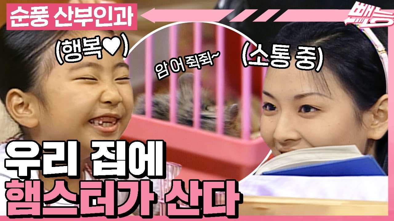 [#순풍산부인과] 새로운 가족이 생긴 미달이네🐹 안달이, 복달이, 그리고 미달이 let's go❤️&zwj;🔥ㅣ64화