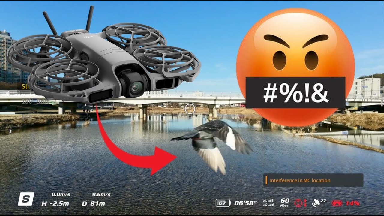 DJI Neo 2... A Tower and a BIRD... #djineo2 #dronevideo