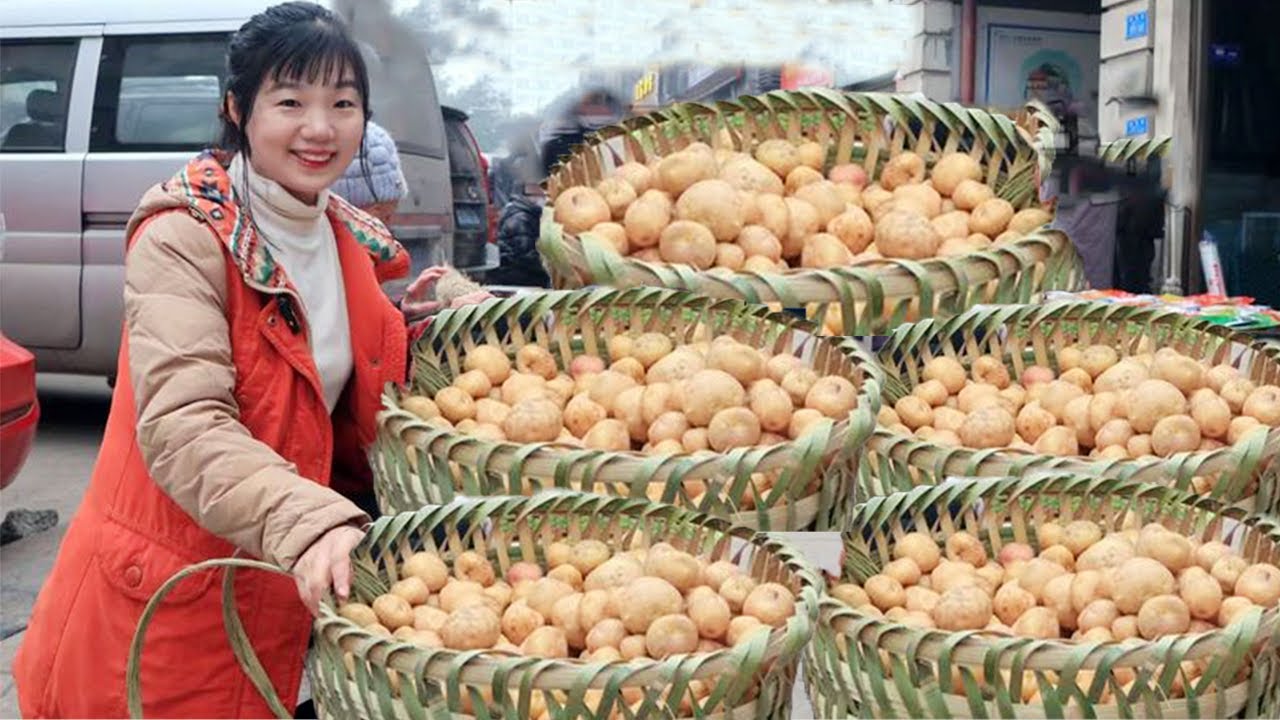 背1000公斤嫩洋芋趕集賣，村裡人幾千斤山里薯片，必須幫大家賣光！ 【燕麥行遊】