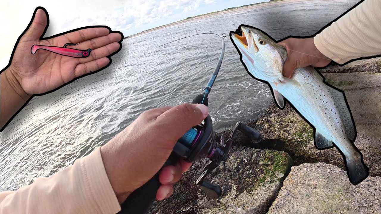 Solo Jetty Run After Work &ndash; Can the New Lure Save the Trip?