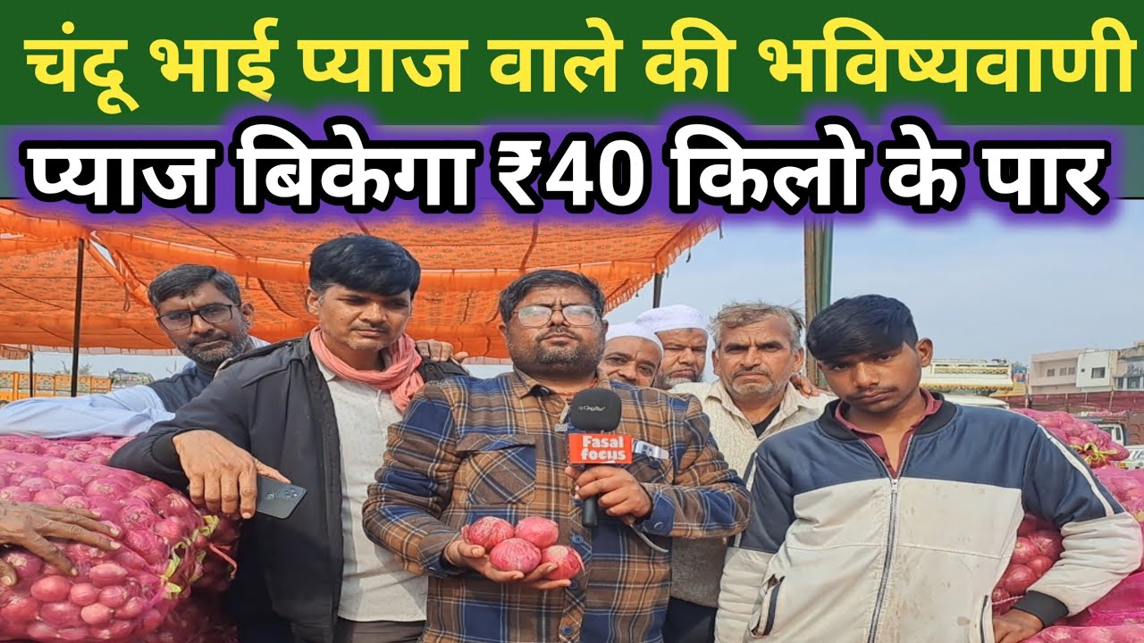 चंदू भाई प्याज वाले की भविष्यवाणी प्याज बिकेगा ₹40 किलो के पार | Khairthal pyaj mandi Bhav 