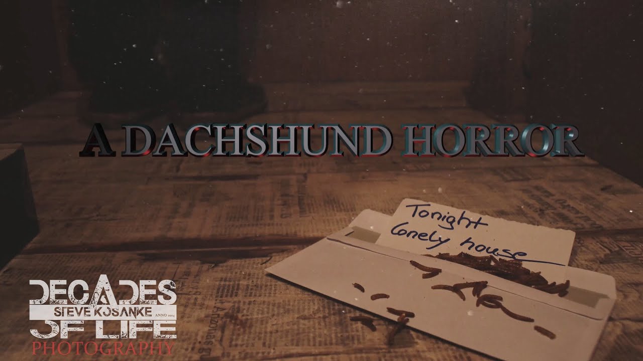 A DACHSHUND HORROR 4K (UHD)
