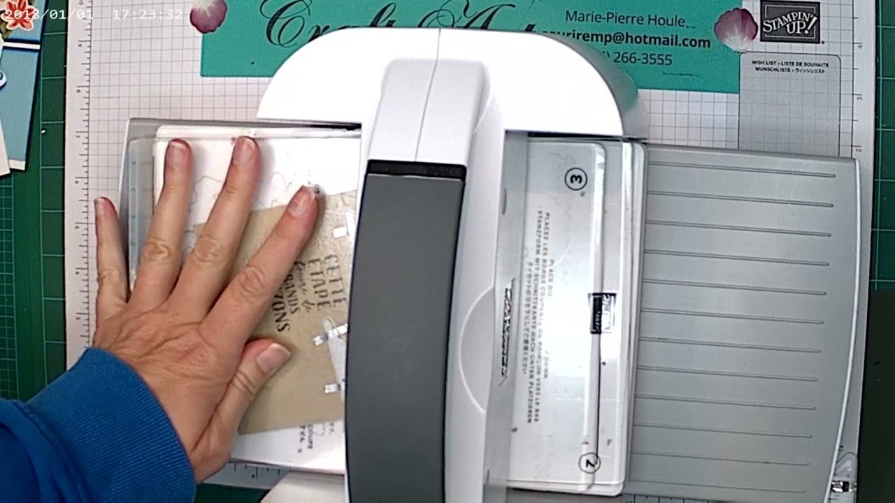 Rehaussez vos découpe avec un trait blanc
