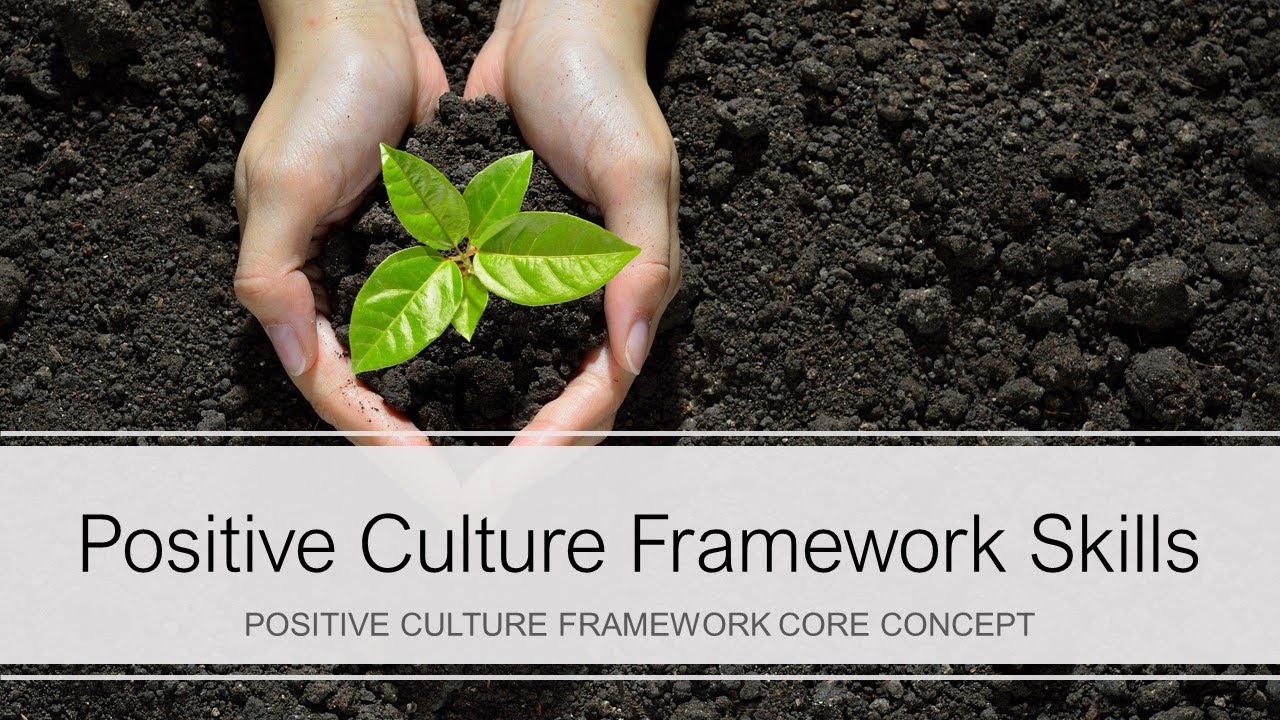 Positive Culture Framework Skills