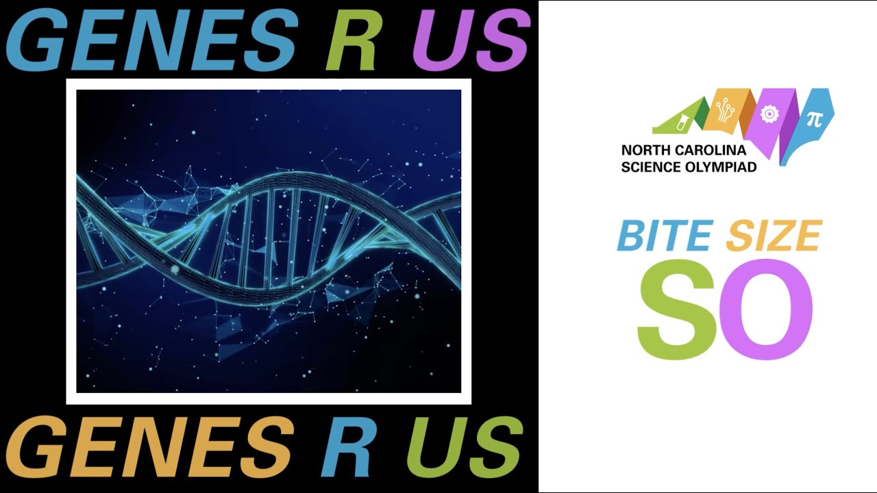 2022 Bite Size SO - Genes R Us