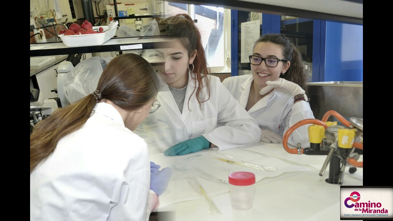 CFGS Laboratorio Clínico y Biomédico