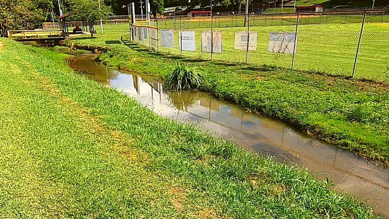 Fishing the Creek YOU Drive OVER (Tiny Creek)