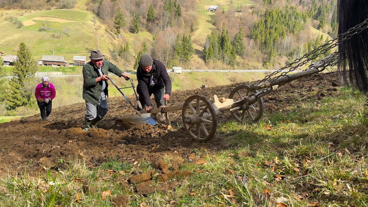 Hard Life in the Carpathian Mountains 🐎 Plowing with Horses & Planting Potatoes in the Hills 🌿