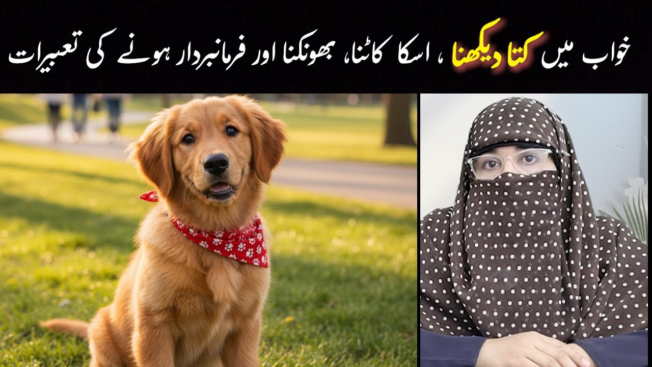 Khawab Main Kutta (Dog) Dekhnay Ki Tabeer || Interpretation of Seeing Dog in Dream | Khawab Tabeer