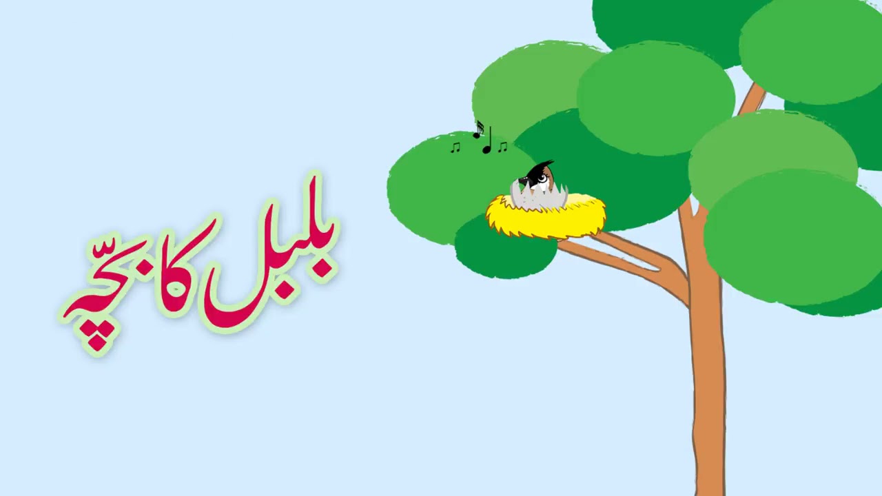 Bulbal Ka Bacha  