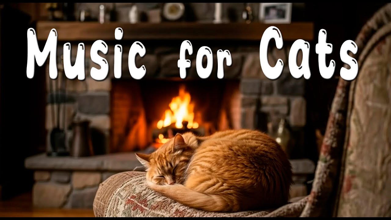 Sleeping Cat Music 😻 Calming Music for Cats, Sleep Pets, Relaxation