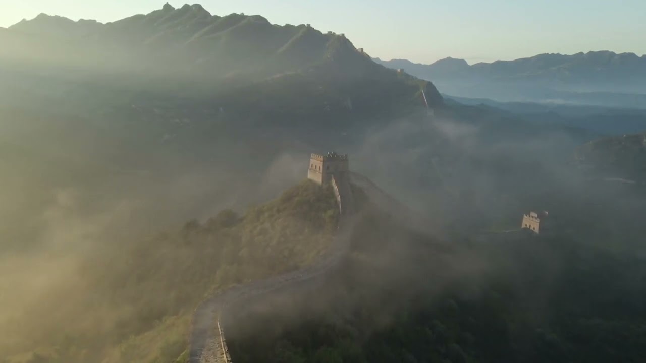 FAVEUR DIVINE PLUS | SINYAL OU | SAX COVER