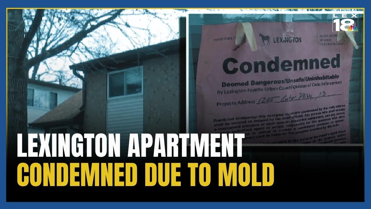 Condemned apartment due to mold has caused chronic health issues for tenant