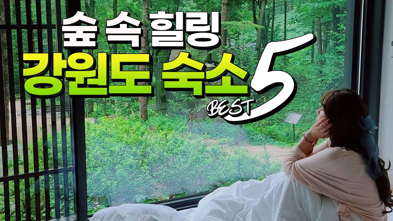 [ENG SUB] 숲 속에서 힐링 제대로 되는 강원도 숙소 BEST 5 (Gangwon-do hotels and resorts in the forest)