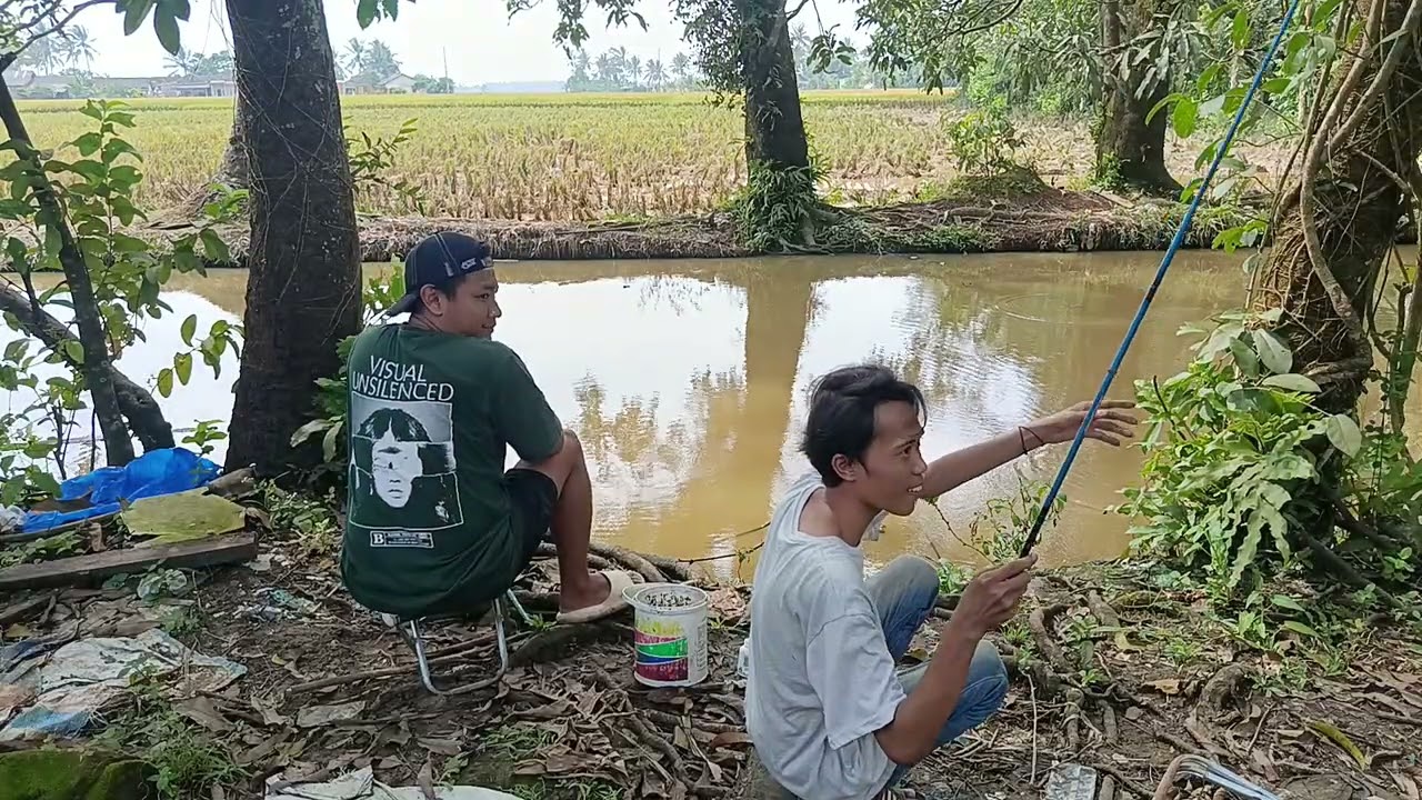 Ternyata mancing disini ada ikan lele nya