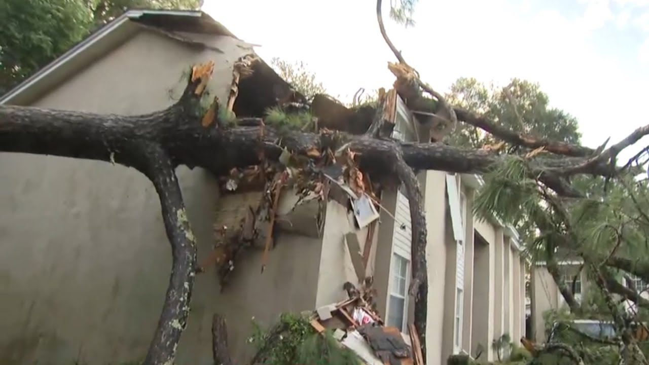 Fallen trees, downed power lines in Tallahassee after Helene makes landfall