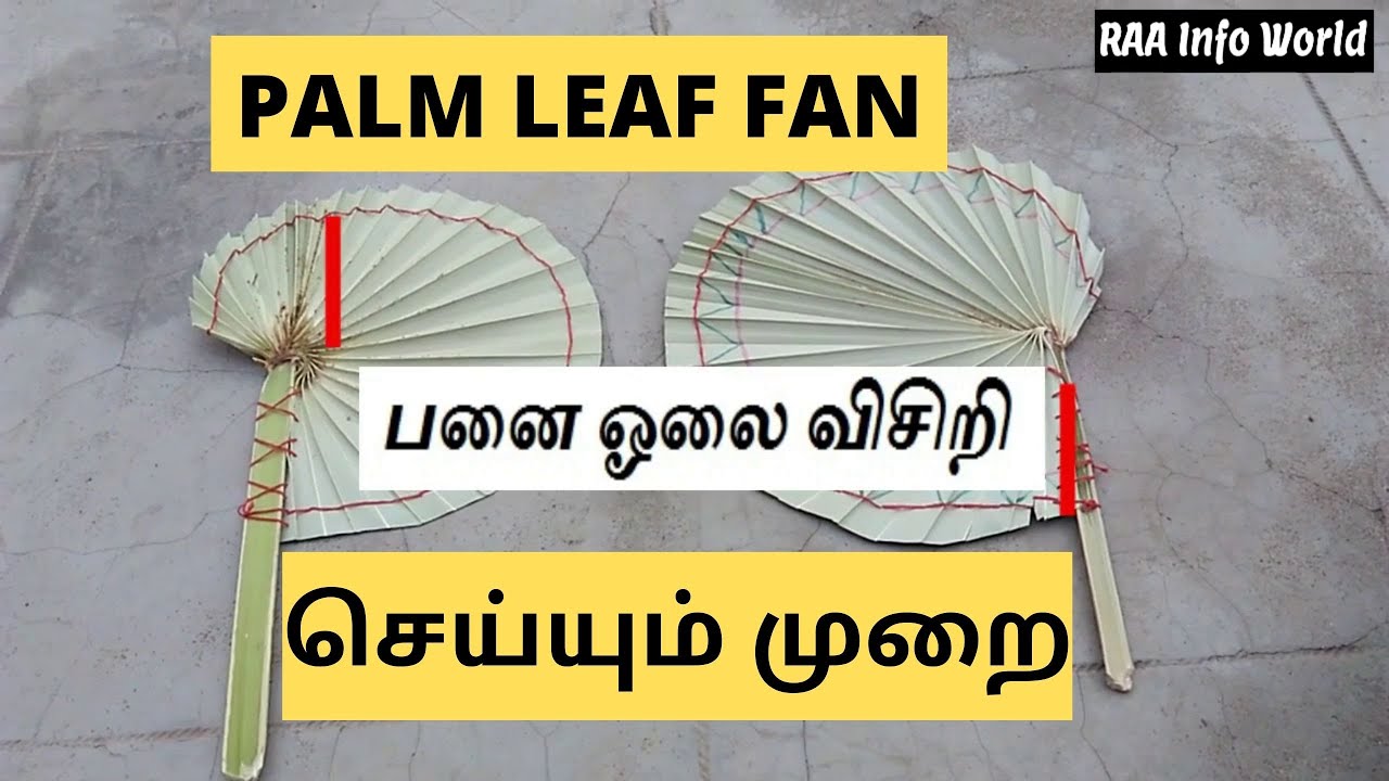 Making Palm Leaf Fan | பனை ஓலை விசிறி செய்யும் முறை | Making Panai Olai Visiri | Palm Leaves Fan