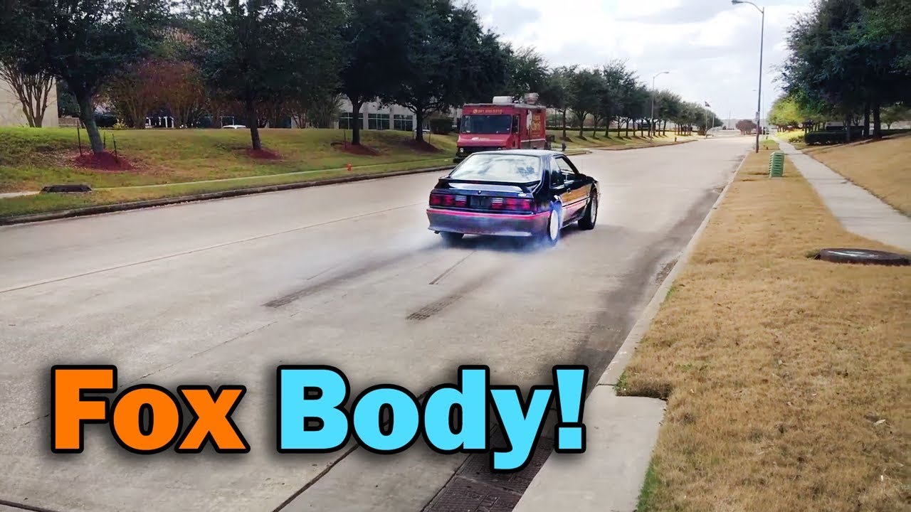 Shelby's New 1989 Ford Mustang GT Fox Body 5.0L