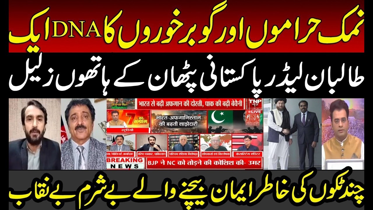 Pakistani Sher Shut up Call to Afghani on Godi Media | Afghan Indian DNA Statement | Modi