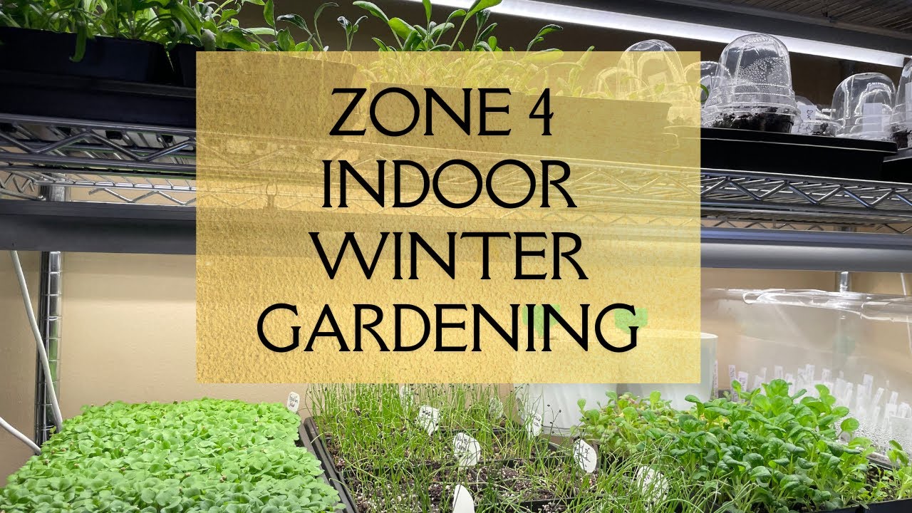 Grow Fast & Easy Food Indoors During Winter - Sow 11 Varieties of Baby Greens Microgreens with Me!