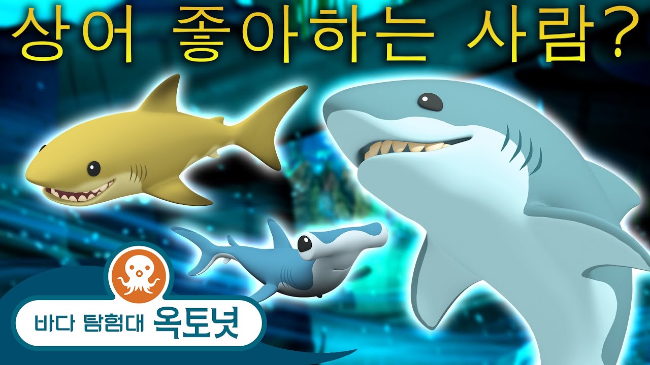 바다 탐험대 옥토넛 - 🦈😺 상어 좋아하는 사람? | 상어 주간입니다! 🦈😱 - 모음집