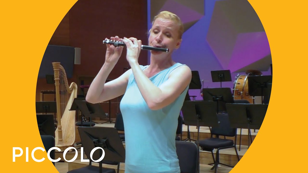 Guide to the Orchestra: Piccolo Demonstration | Minnesota Orchestra