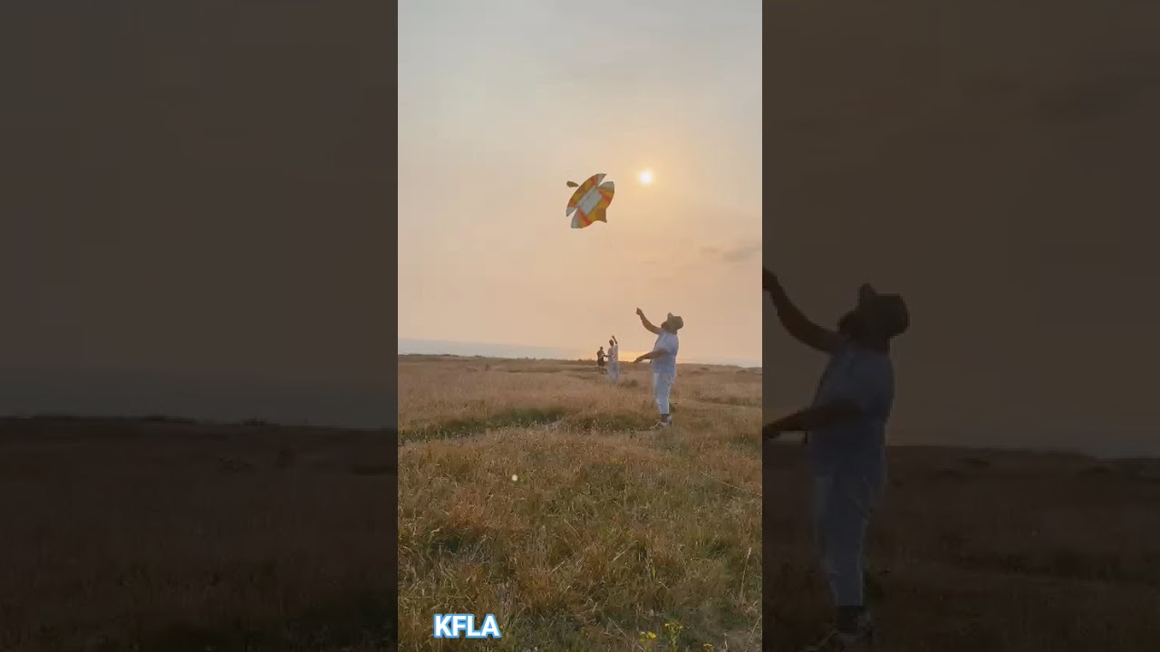 Kite flying #kiteflying #kitefightingcompetetion #kiteflyingfun #kitecatching #kites #kiteground
