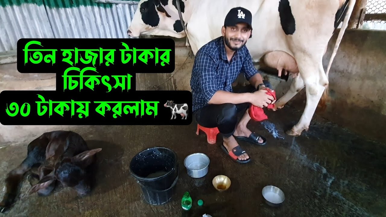 তিন হাজার টাকার চিকিৎসা,,,ত্রিশ টাকায় সেরে নিলাম 🐄