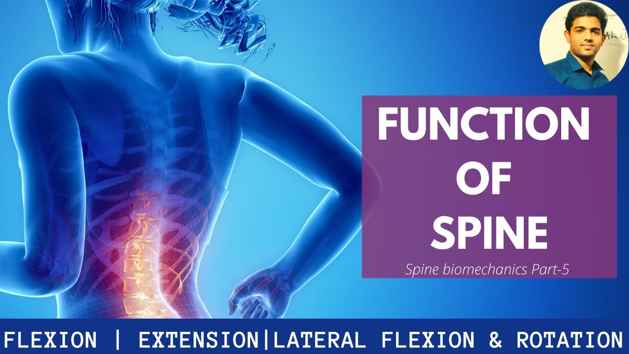 FUNCTIONS OF SPINE #BIOMECHANICS OF SPINE | SPINE BIOMECHANICS {Part-5}