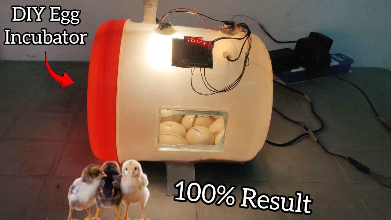 Homemade Mini Incubator Is simple and easy || 100% result