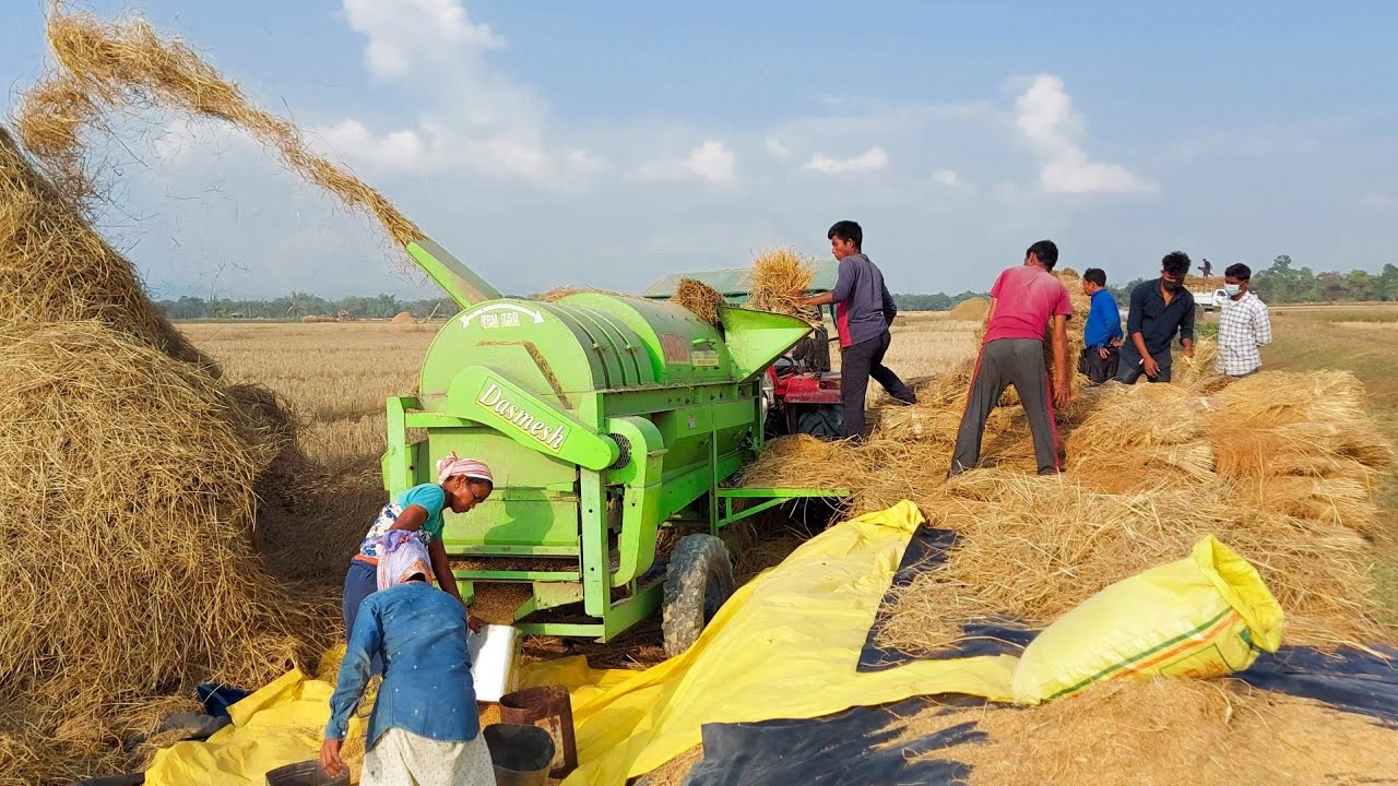 Paddy Thresher Machine New Model, Dasmesh Thresher Machine Setting, Rice Thresher,Thresher Machine