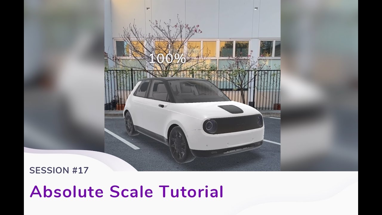 Absolute Scale Tutorial