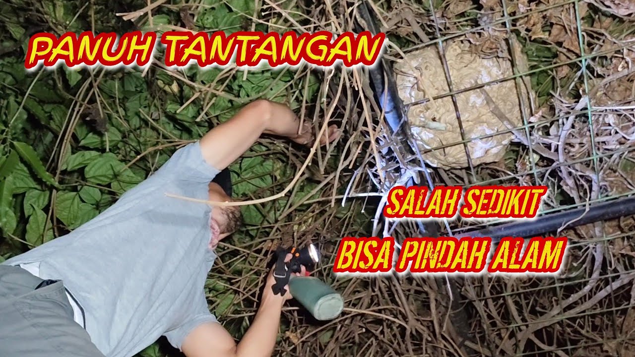 PENUH TANTANGAN DAN RESIKO BESAR//CARA ATASI SARANG TAWON DI SEMAK-SEMAK