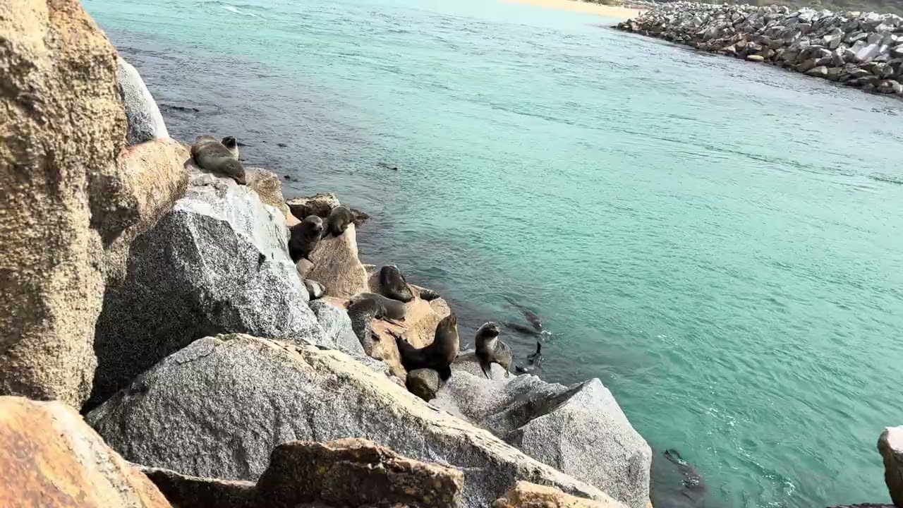 A busy day in the water...
