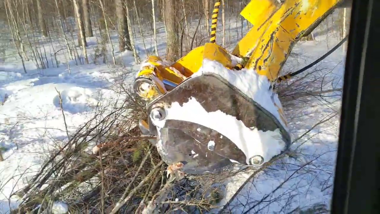 energiapuun hakkuuta, infoa puukaupasta, ja ajatuksia eri energiapuu kourista.